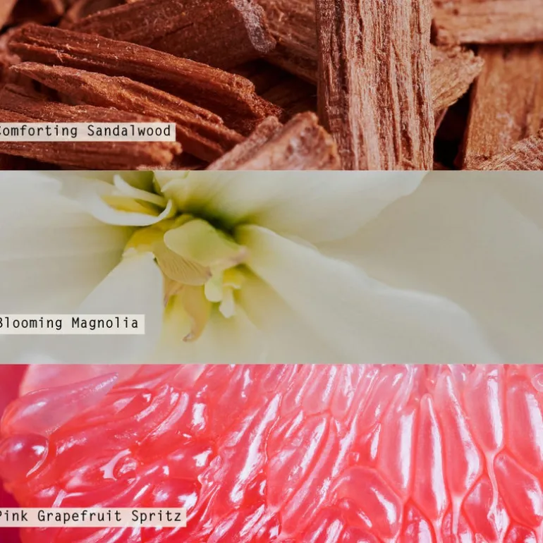 Paloma Petal Refillable Aromatic Diffuser