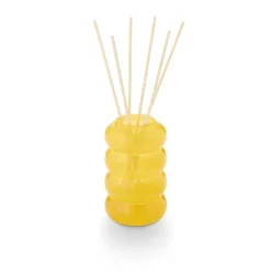 Pool Floatie Aromatic Sun Diffuser