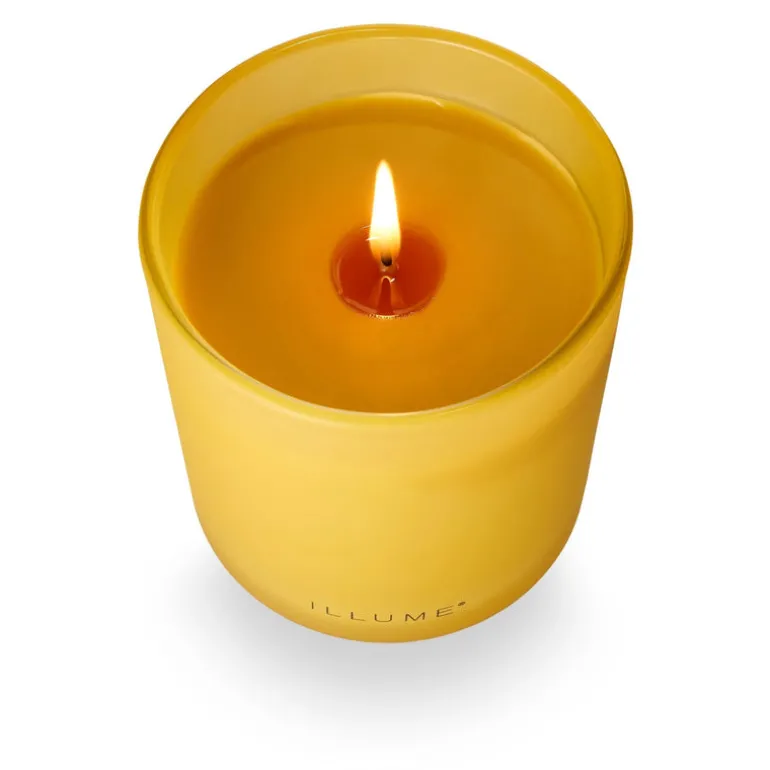 Rhubarb Honey Refillable Boxed Glass Candle