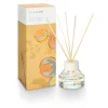 Santal Birch Aromatic Diffuser