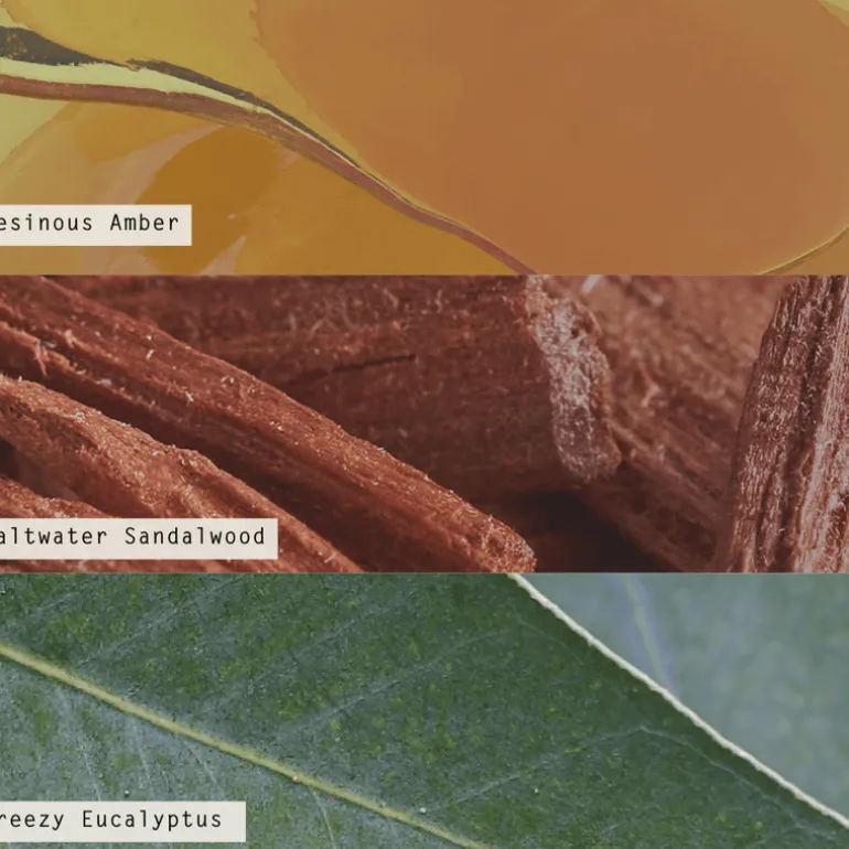 Santal Birch Aromatic Diffuser