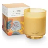 Santal Birch Refillable Boxed Glass Candle