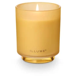 Santal Birch Refillable Boxed Glass Candle