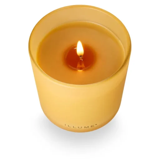 Santal Birch Refillable Boxed Glass Candle