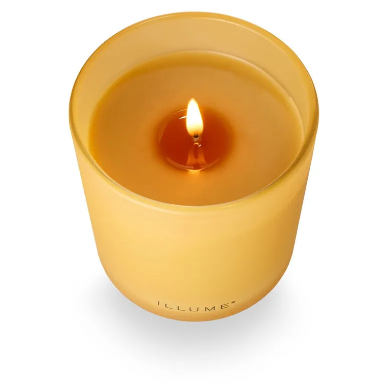 Santal Birch Refillable Boxed Glass Candle