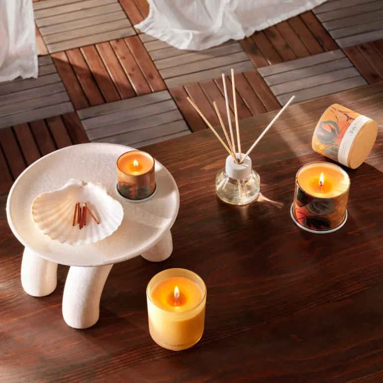 Santal Birch Refillable Boxed Glass Candle