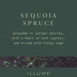 Sequoia Spruce Pine Glass Candle