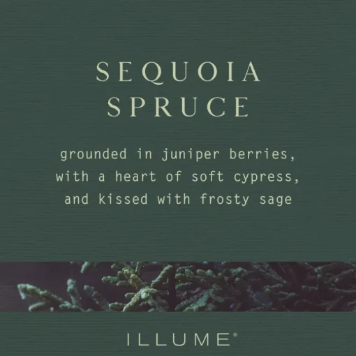 Sequoia Spruce Pine Glass Candle