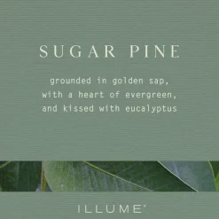 Sugar Pine Pine Glass Candle