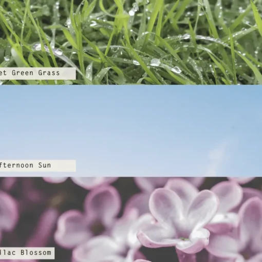 Summer Grass Aromatic Sun Diffuser