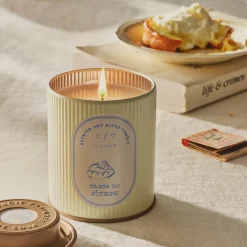 Tarte au Citron Petite Boxed Ceramic Candle