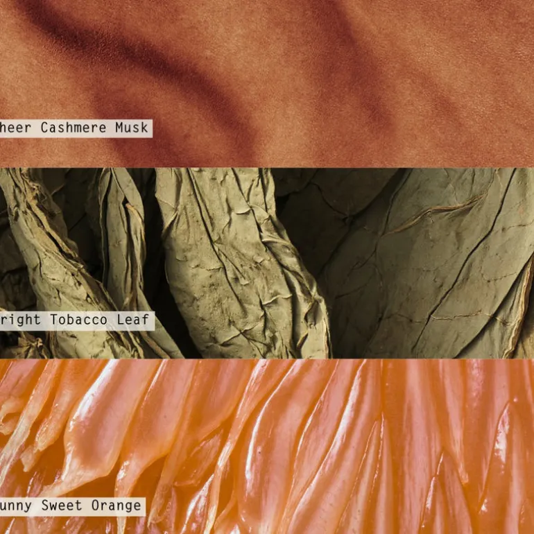 Terra Tabac Baby Boxed Glass Candle